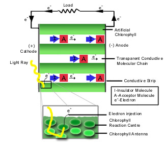 Figure 1: Enlarged bird's eye view of a single CVC layer (not to scale).