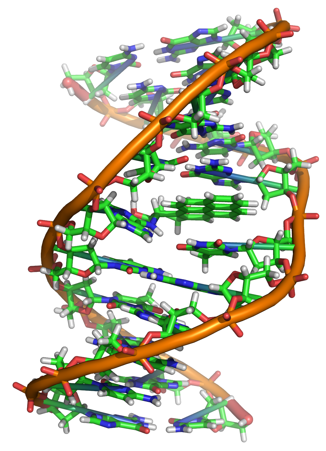 DNA