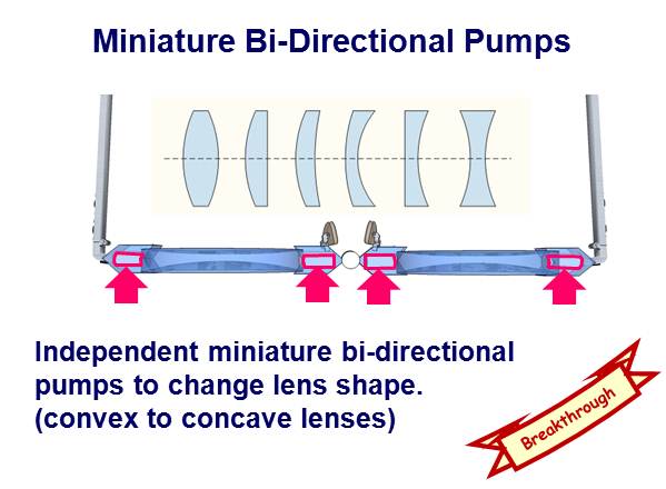 Miniature Bi-Directional Pumps