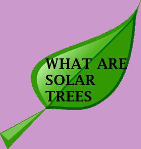 solar tree