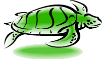 turtle