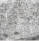 Click on the picture of Roman Medics to enlarge it.