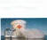 Click on the picture of Future First Aid Kit to enlarge it.